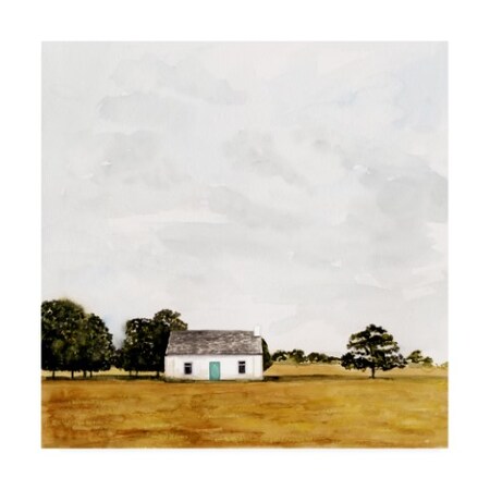 Trademark Fine Art Victoria Borges 'Late July Ii' Canvas Art, 24x24 WAG13571-C2424GG